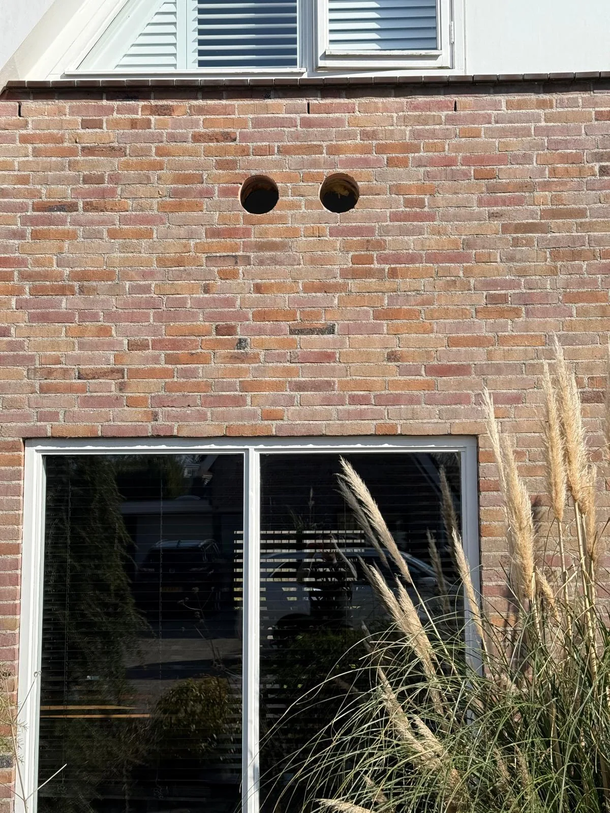 Kruipruimte sanering — aanpak schimmel en vocht in vloerconstructie