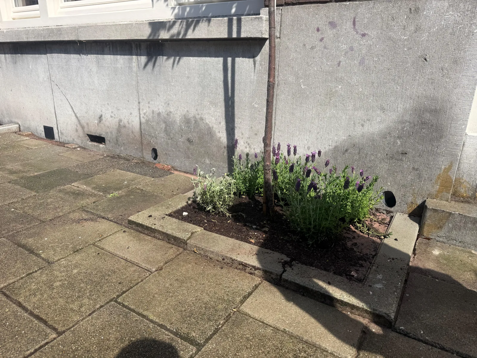 Kruipruimte ventilatie Breda – oud pand