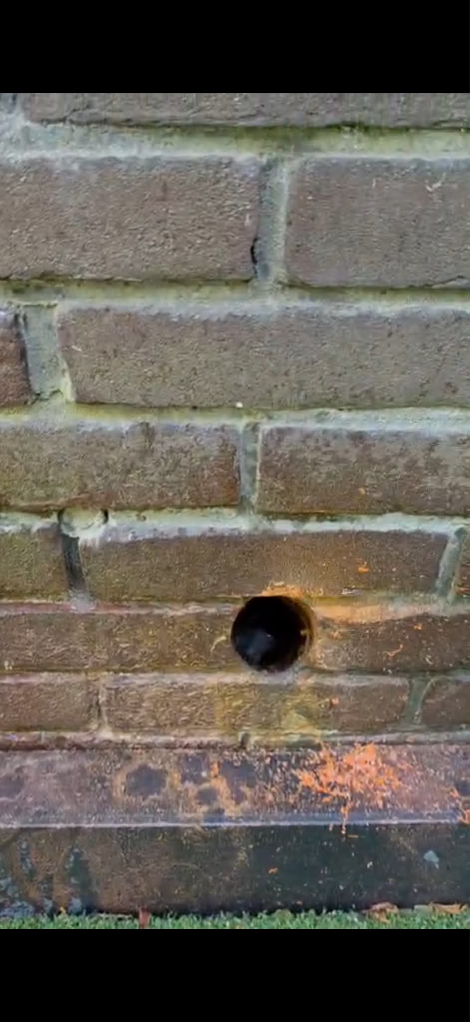 Kruipruimte ventilatie Oss &mdash; het geboorde ventilatiegat in de bakstenen gevel