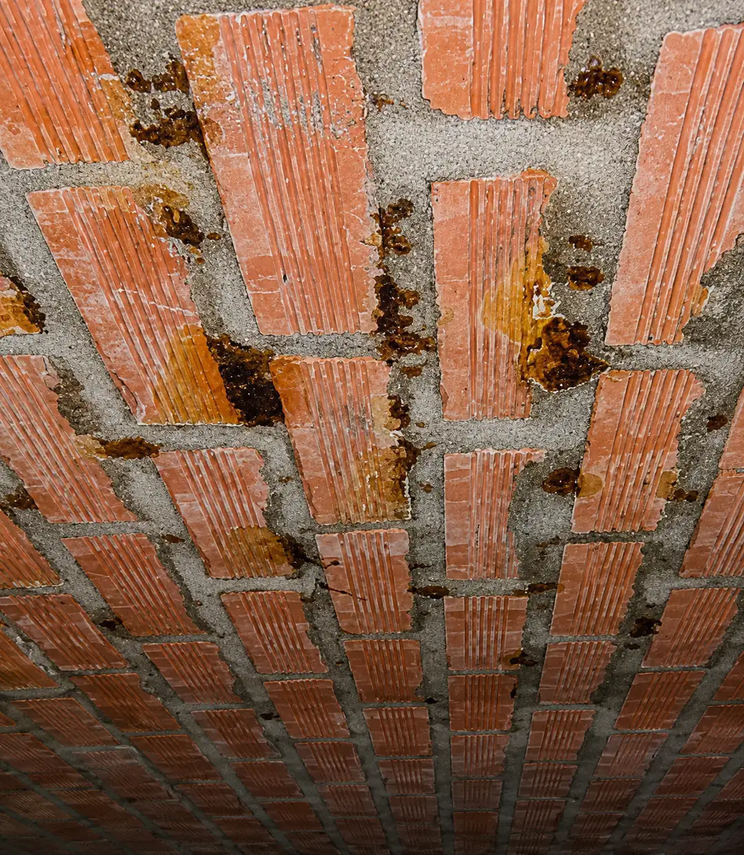Onderkant van een nehobo vloer in de kruipruimte: gebakken kleiblokken met betonrot
